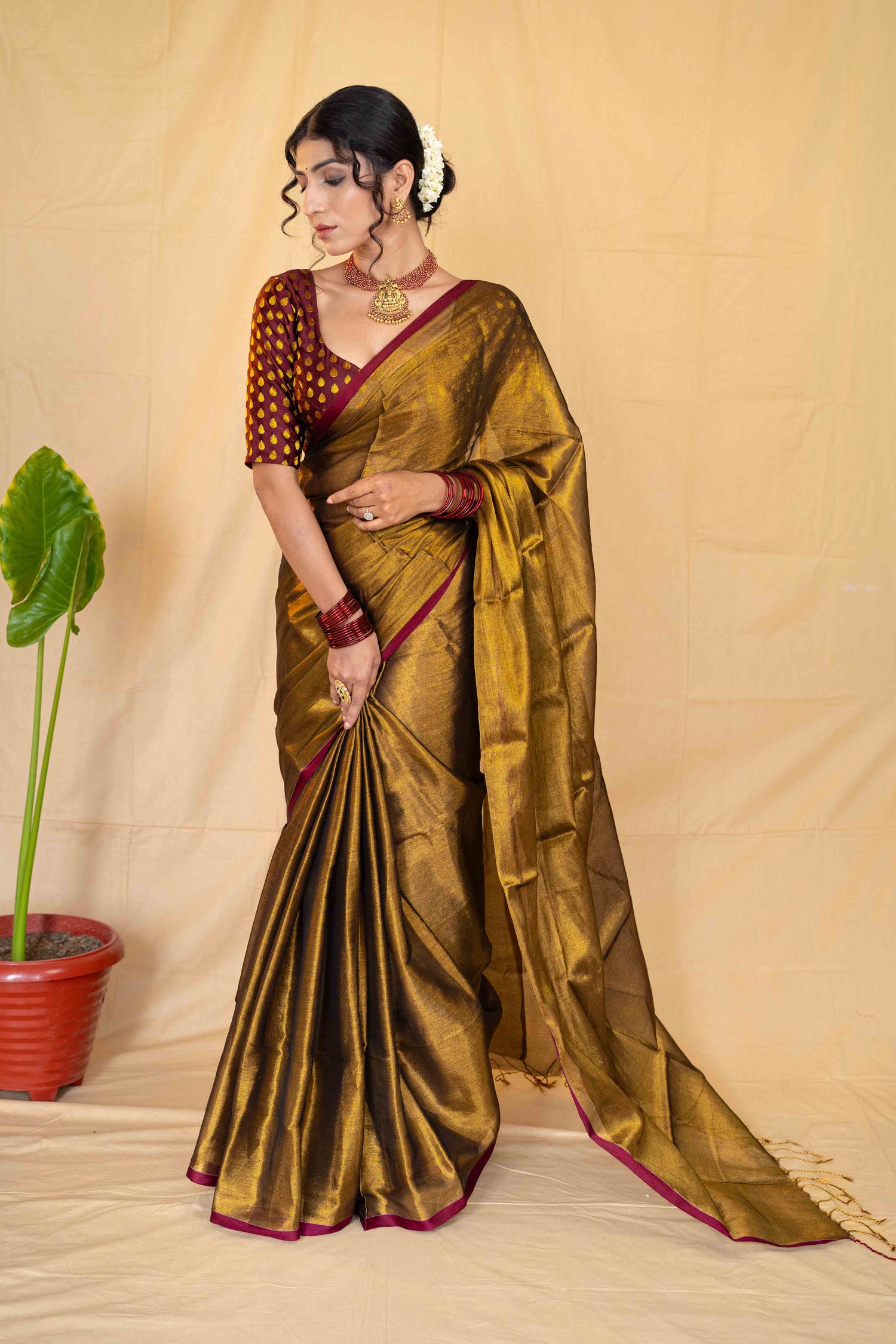 Sundar Naari in Sundar Saree